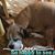 Donna F. Smith's profile image