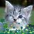 Cynthia Turner's profile image