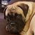 Cheryl LaJeunesse's profile image