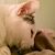 Teresa Newton's profile image