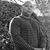 Vincent Gaither's profile image