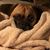 Mary Stafford's profile image