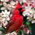 Barb Mead Shelton's profile image