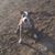 Jeff Zaiser's profile image