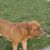 Brad LaMaster's profile image