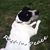 Terri Hefner's profile image