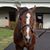 Terri Bey's profile image