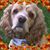 Linda Campbell's profile image