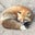 Michael Preston's profile image