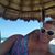 Monica Baker's profile image