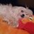 Suri Miller's profile image