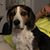 Jill Callaghan Ripple's profile image