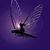 Lisa Bundy's profile image
