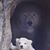 Jennifer Sanner's profile image