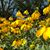 Lynn Schillinger Bastian's profile image