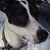 Shelly Plehn's profile image