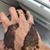 Yijun Chen's profile image