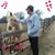 Lana Evans's profile image
