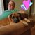 Jennifer A Butler's profile image