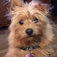 April Powell Fausett's profile image