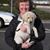 Sue Anderson's profile image