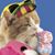 Merrie Stevens's profile image