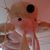 Christian Xtn Hansen's profile image