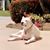 Arlene Rivera's profile image