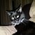 Kimberly Wagoner's profile image