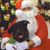Carrie McGhee-Blum's profile image