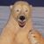 Lisa Salmi's profile image