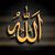 Zahra Batool's profile image