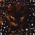 Sharon Aldridge Sleighter's profile image