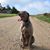 Pam Mobley Mahoney's profile image