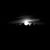Nitsuj B Riggs's profile image