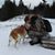 Jessie Tanguay's profile image