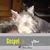 Lori Henry Hall's profile image