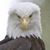 Louie Martinez II's profile image