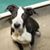 Ken McCutchen's profile image