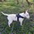 Karen Hilliard's profile image
