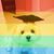 Ingel He's profile image