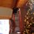 Debbie Mottern Bennett's profile image