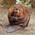 Feezle Driftwood's profile image