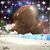 Carol Studer's profile image