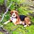 Doris Sechler Stearns's profile image
