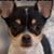 Gloria Durecki's profile image