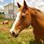 Haylie McCuistion's profile image