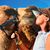 Lisa Shute's profile image