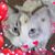 Barbara L Brandy Miller's profile image