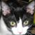 Lynne Shriber's profile image